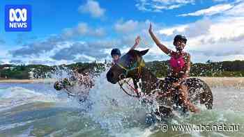 Tourists from 'all over the world' have ridden horses on this beach, but it's time to hang up the reins