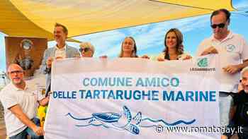 La Capitale è un "comune amico delle tartarughe marine", firmato l'accordo con Legambiente