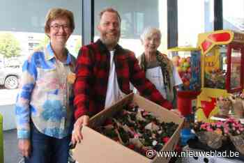 Plantjesweekend Kom op tegen Kanker in thuishaven Lochristi: drie jubileumplantjes in elke doos