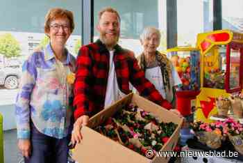 Plantjesweekend Kom op tegen Kanker in thuishaven Lochristi: drie jubileumplantjes in elke doos