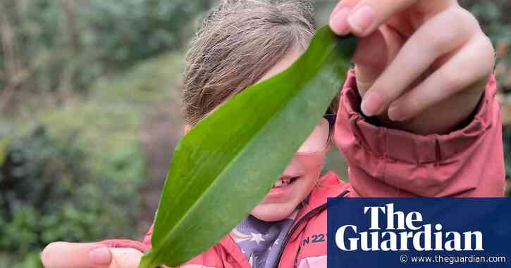 Nature boys and girls – here’s your chance to get published in the Guardian