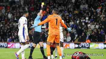 Bournemouth and Chelsea set new Premier League yellow cards record as referee Anthony Taylor dishes out FOURTEEN bookings at the Vitality Stadium