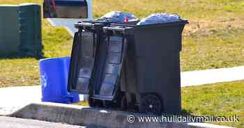 Warning over little-known wheelie bin rule that could land you £80 fine