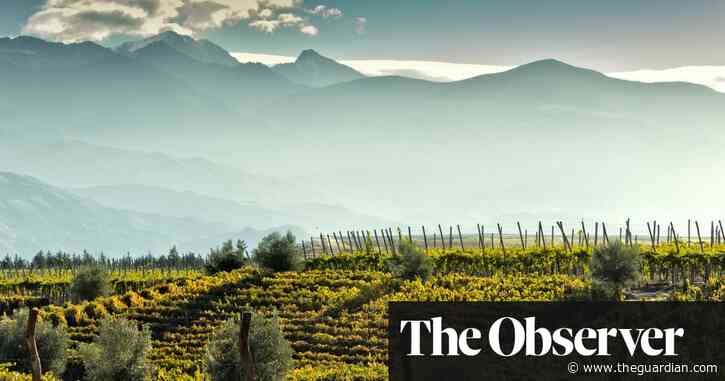 More than malbec: the diverse wines of Argentina