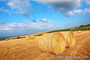 Annual Scottish harvest survey launched amid &#39;challenging&#39; time