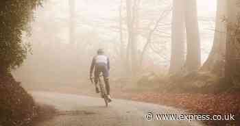 Met Office issues urgent five-hour yellow fog alert with warning to drivers