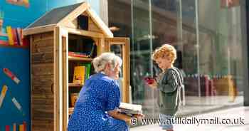 New 'Little Library' opens in St Stephen's