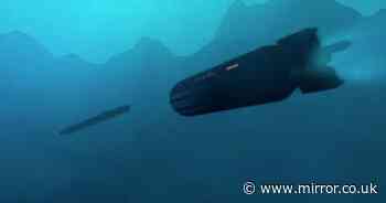 Royal Navy lauds its terrifying £60bn upgrades to Sting Ray submarine torpedoes