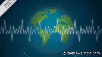 Explained: Why Earth Vibrated For 9 Days Continuously In 2023? Know About Greenland Landslide Mega Tsunami