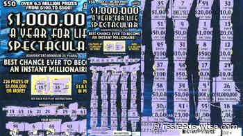 Hillsborough County woman wins $1M from scratch-off lottery ticket