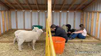 More agriculture academies are popping up in rural Alberta towns. What are they?