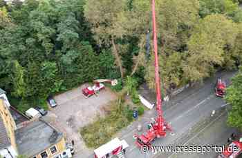 FW-BO: Abgebrochener Baum verursacht längeren Feuerwehreinsatz