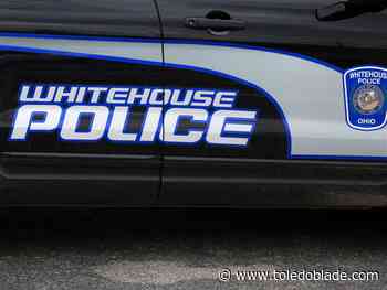 Whitehouse police survey will help improve service