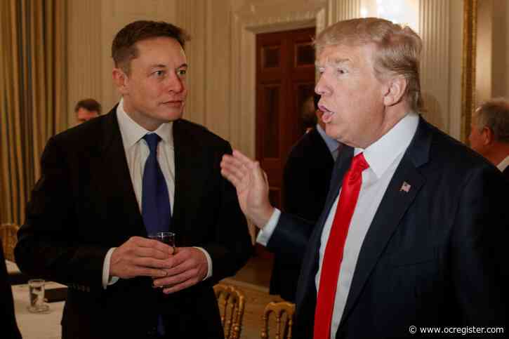 Trump’s Elon Musk government efficiency commission is actually a good idea