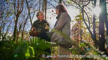 Zu Gast bei Heimatfreunden: Mit Locals durchs Hochsauerland