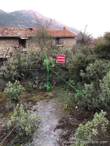 "Je n’ai plus qu’à partir": gardienne pendant 40 ans d’un domaine de l’arrière-pays niçois, une sexagénaire va être expulsée