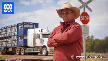 Pastoralist calls for upgrades at 'dangerous' rail crossing where cattle truck struck The Ghan