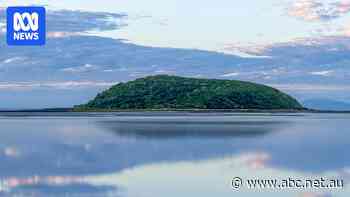 Australian island that inspired the Narnia movies sells at auction for $5.6 million