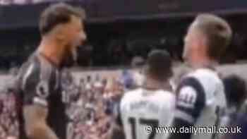 Eagle-eyed fans spot Ben White celebrating in James Maddison's FACE after Gabriel scores winner for Arsenal in north London derby