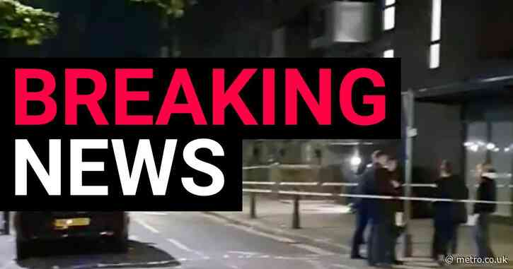 Woman charged with murdering another woman after stabbing in London flat