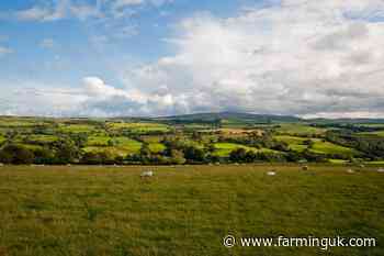 RSPB warns &#39;time is running out&#39; to ensure Higher Tier CS schemes in place