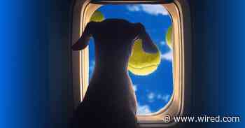 Somehow, the Dog Situation on Airplanes Has Gotten Even Wilder