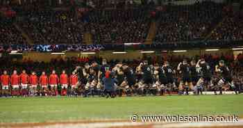 'Who's that bloke?' Wales player was talk of All Blacks' changing room in ultimate compliment