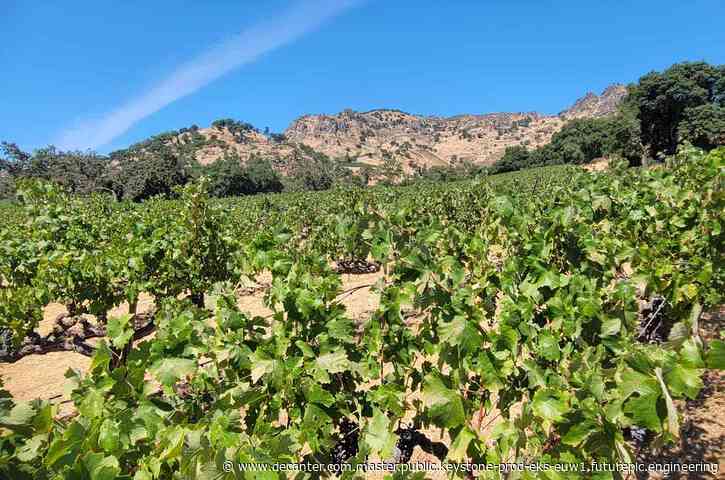 Napa Valley Cabernet 2021: Top wines from Stags Leap District