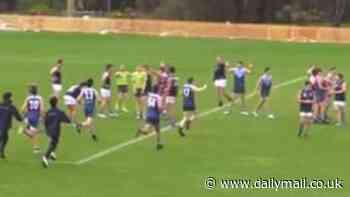 How footy fans and players' WILD celebration cost their team a grand final win in shocking scenes