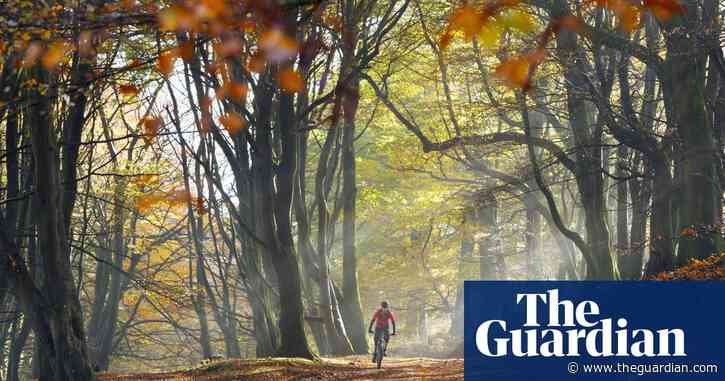 Share a tip on your favourite forest escapes in the UK