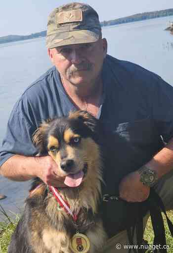 Canadian military veteran has heart attack; puppy jumping on his chest saves his life