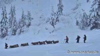 „Nichts für Anfänger“: Almabtrieb durchs Schneegestöber – Landwirte müssen spontan Rinder ins Tal bringen