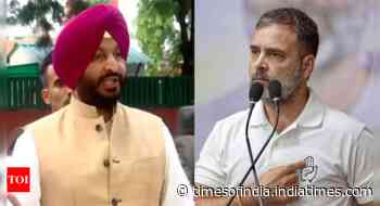 'We can be political rivals but ... ': BJP's reaction on minister's Rahul 'No. 1 terrorist' remark