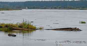 Hochwasser in Brandenburg: Krisenstab in Frankfurt - das sagen die Bewohner