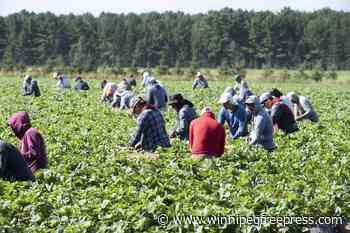 Quebec court greenlights temporary foreign worker class action on closed permits