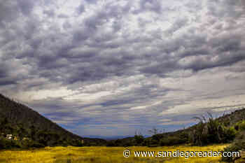 The seasons are changing, Fall migrant birds arrive, full moon, high tides