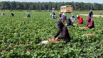 Quebec court greenlights temporary foreign worker class action on closed permits