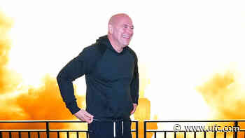 Quick Hits: Dana White | UFC 306