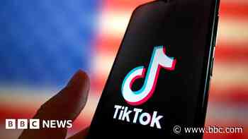 TikTok says US ban would have ‘staggering’ impact on free speech