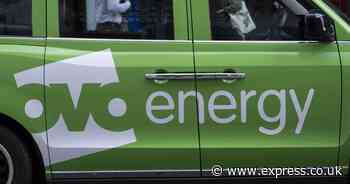 OVO Energy sending money to state pensioners losing £300 Winter Fuel Payment