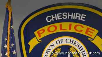 Worker dies after getting caught underneath tree in Cheshire