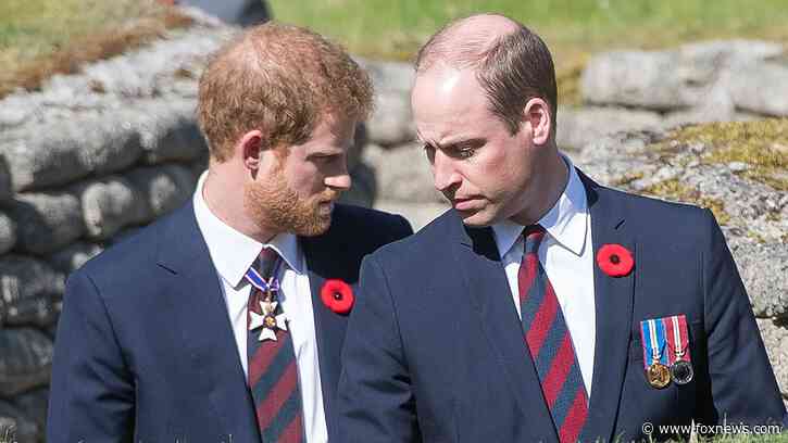 Prince William 'disgruntled' over Prince Harry's $8.5M inheritance payday on 40th birthday: expert