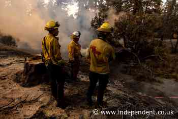 California firefighters’ union slams Trump for threatening to withhold funding: ‘He should be ashamed’