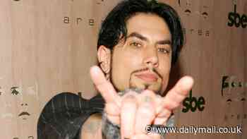 Inside the wild love life and complicated family of Jane's Addiction guitarist Dave Navarro - amid fallout over THAT onstage bust-up