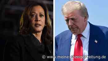 Kopf-an-Kopf-Rennen mit Trump: Was Harris im Wahlkampf-Schlussspurt noch tun kann