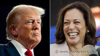 If You Vote for Harris or Trump You Should at Least Have the Decency to Feel Gross About It