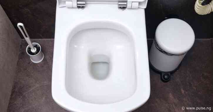 Truth about 4 common toilet bowl myths