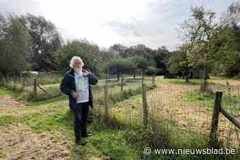 Natuurpunt viert feest in de boomgaard