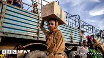 Starvation in war-hit Sudan 'almost everywhere' - WHO