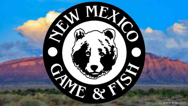 New Mexico Dept. of Game and Fish conducting checkpoints during hunting season